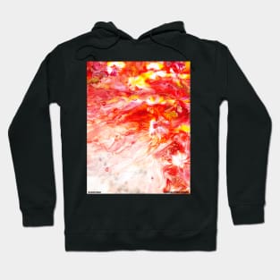 Colorful Abstract Oil Painting Artist Novelty Gift Hoodie